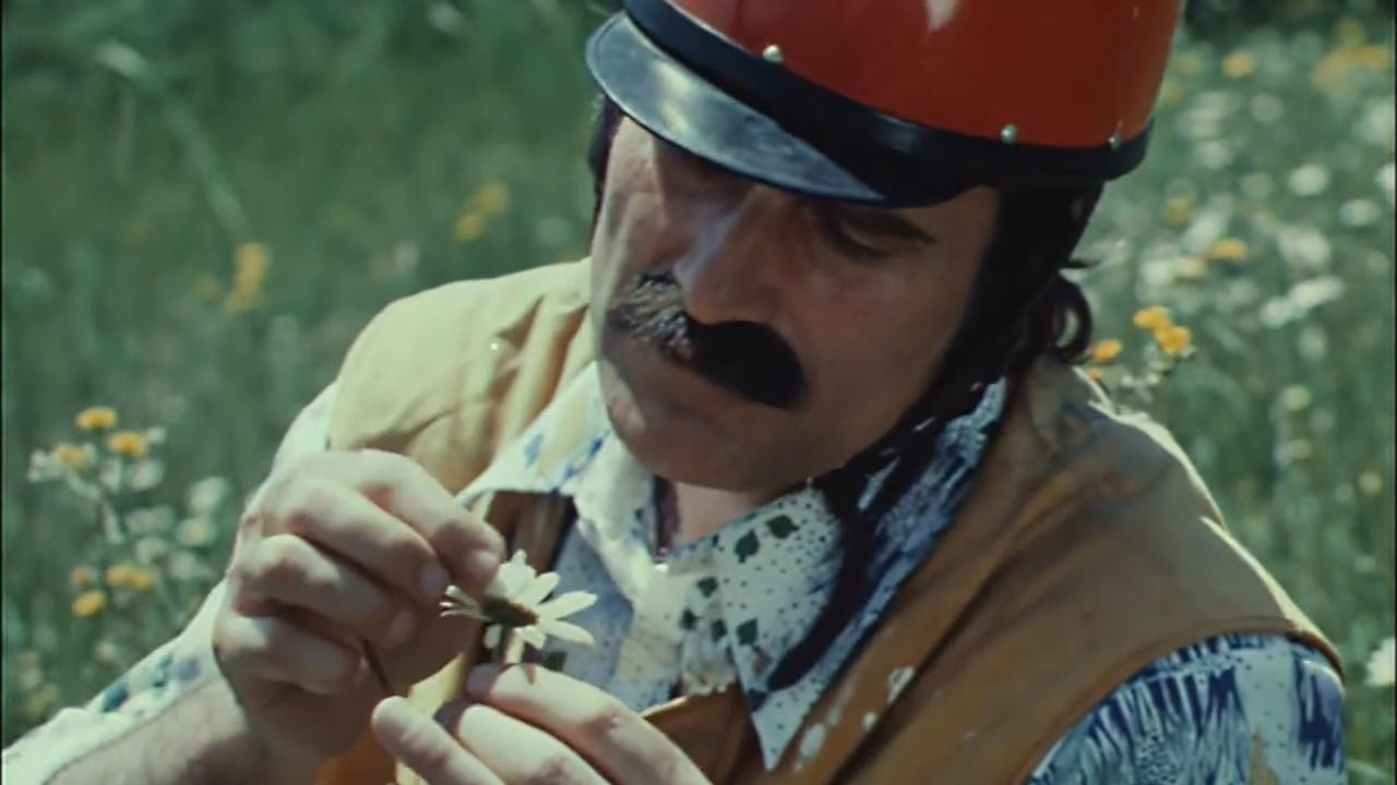 Butterfly (1977)