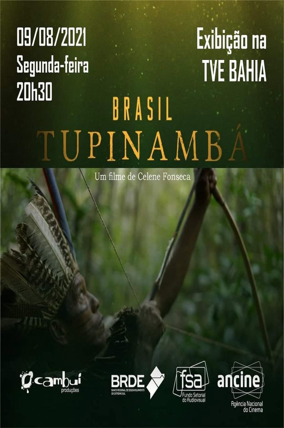 Document&aacute;rio Brasil Tupinamb&aacute;
