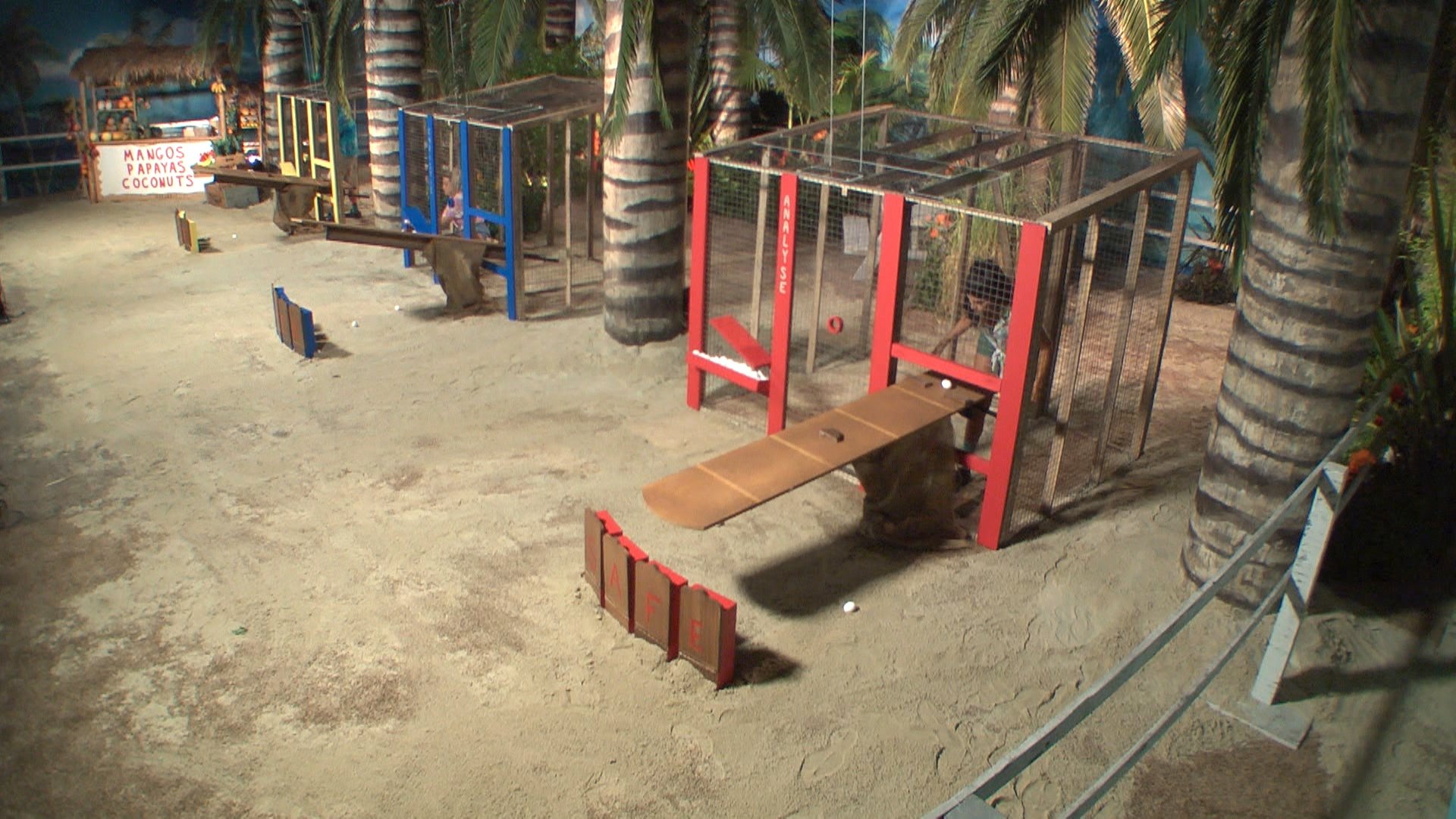 Big Brother - Épisode 21