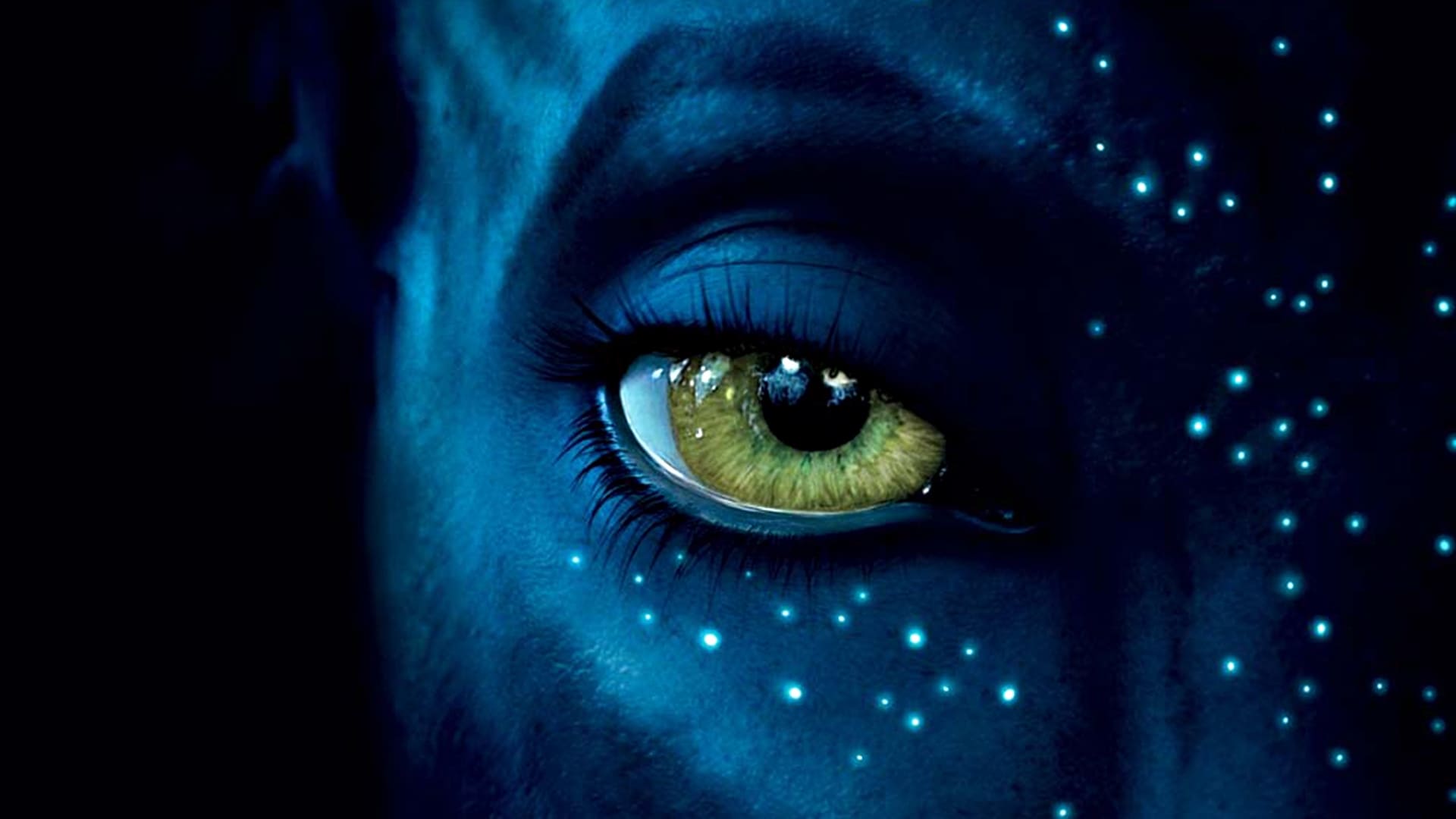 Image du film Avatar 21leekarwcjthi4hglwov1wypd3jpg