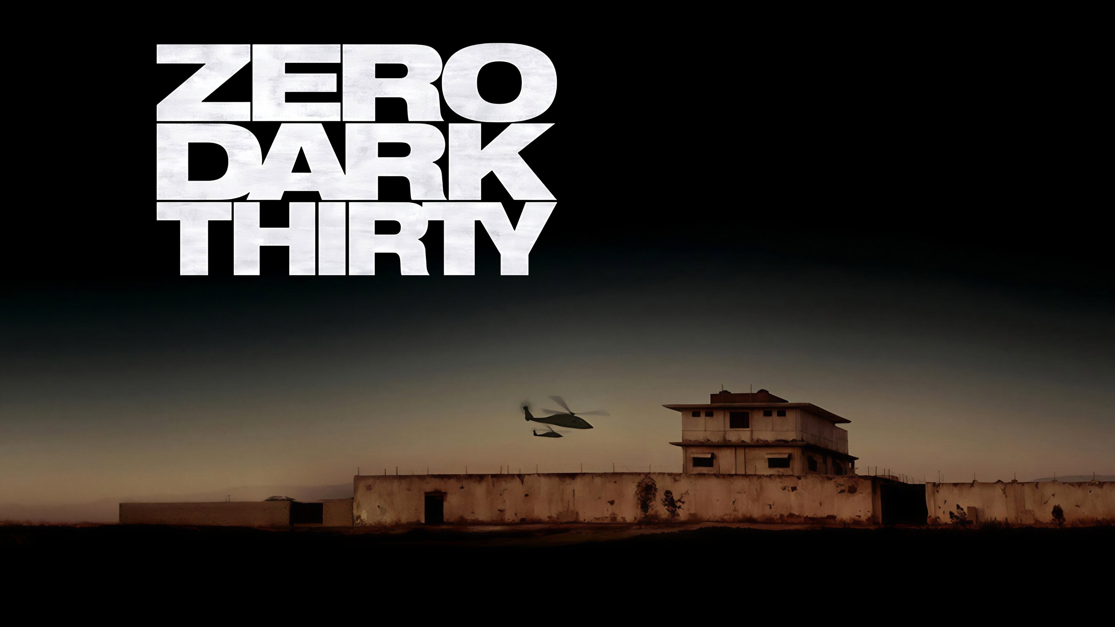 Zero Dark Thirty