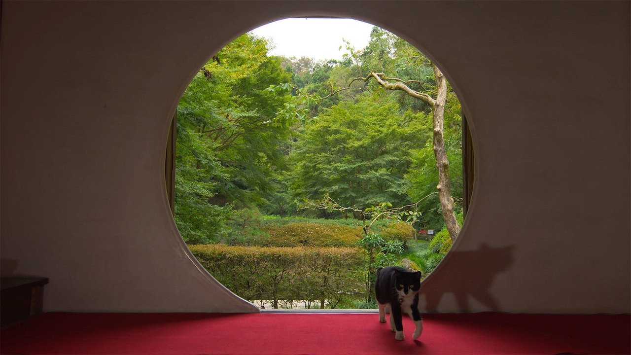 A Cat's-Eye View of Japan - Épisode 8