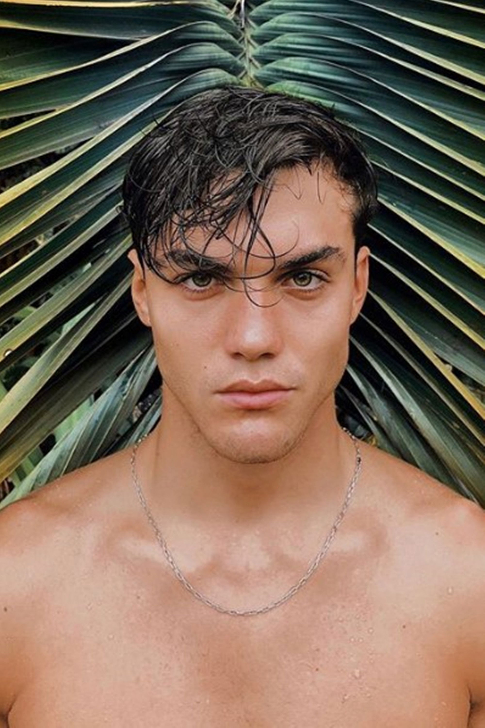 et billede af Grayson Dolan