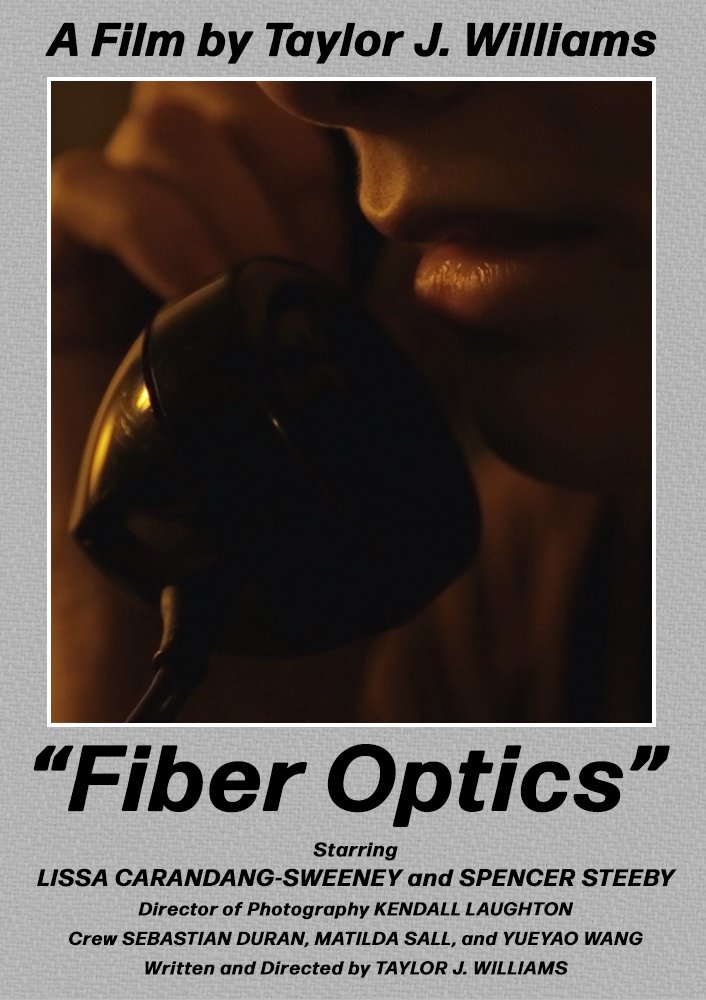 Fiber Optics Fiber Optics