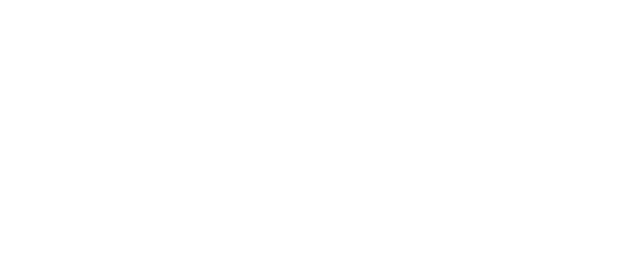 Safe Logo