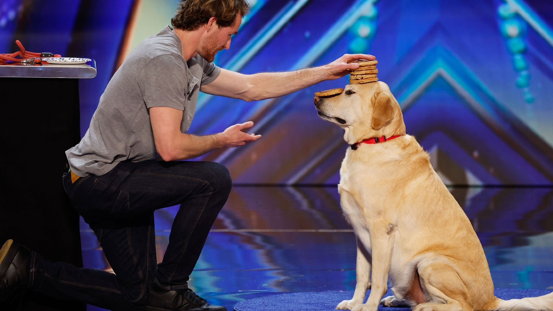 America's Got Talent