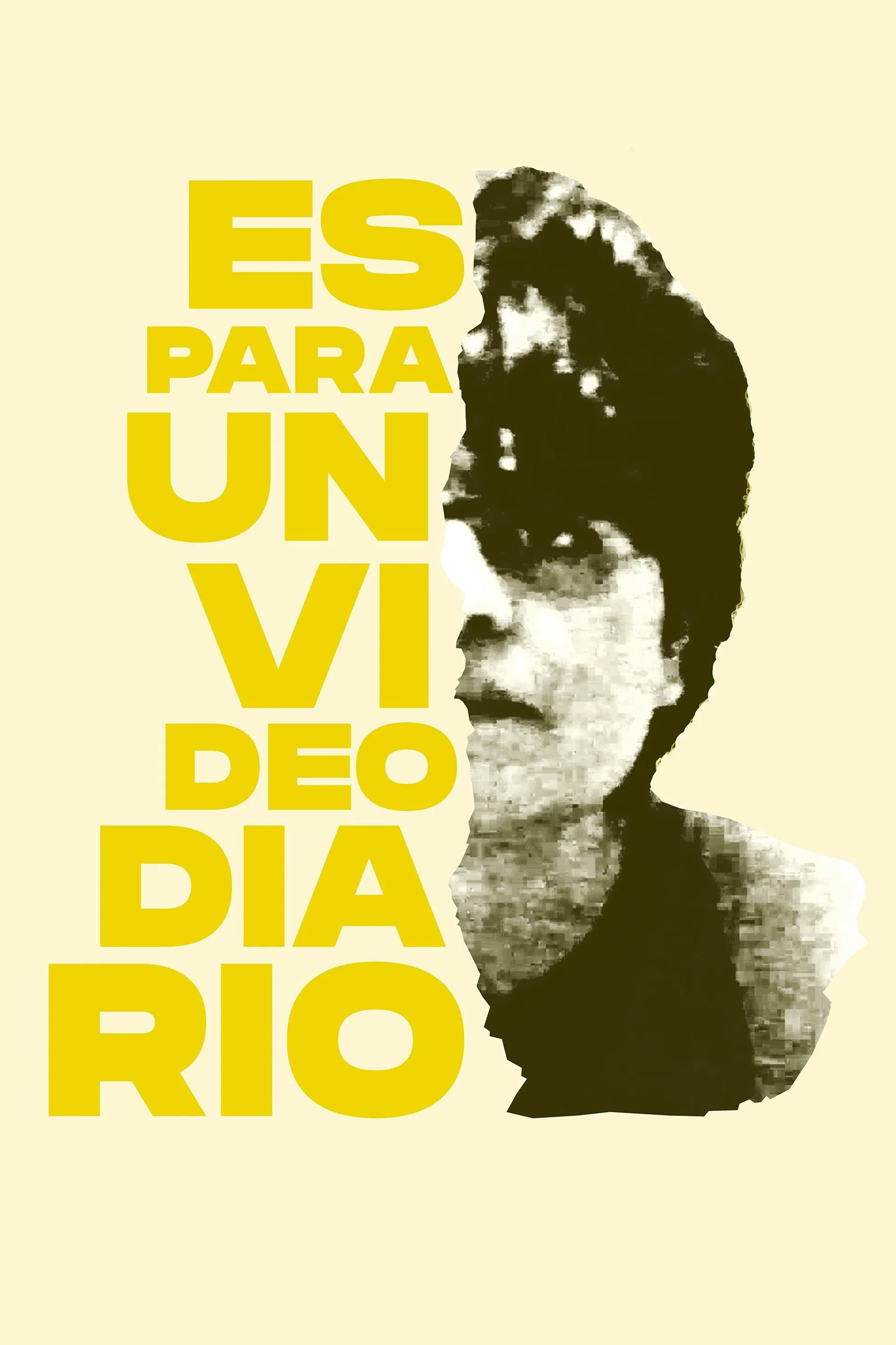 Es Para Un Videodiario