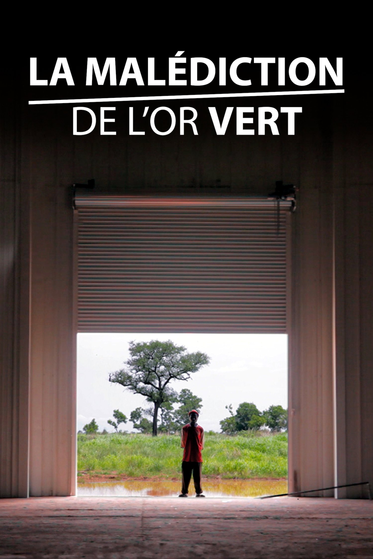 Movie image of : La Malédiction de l'or vert