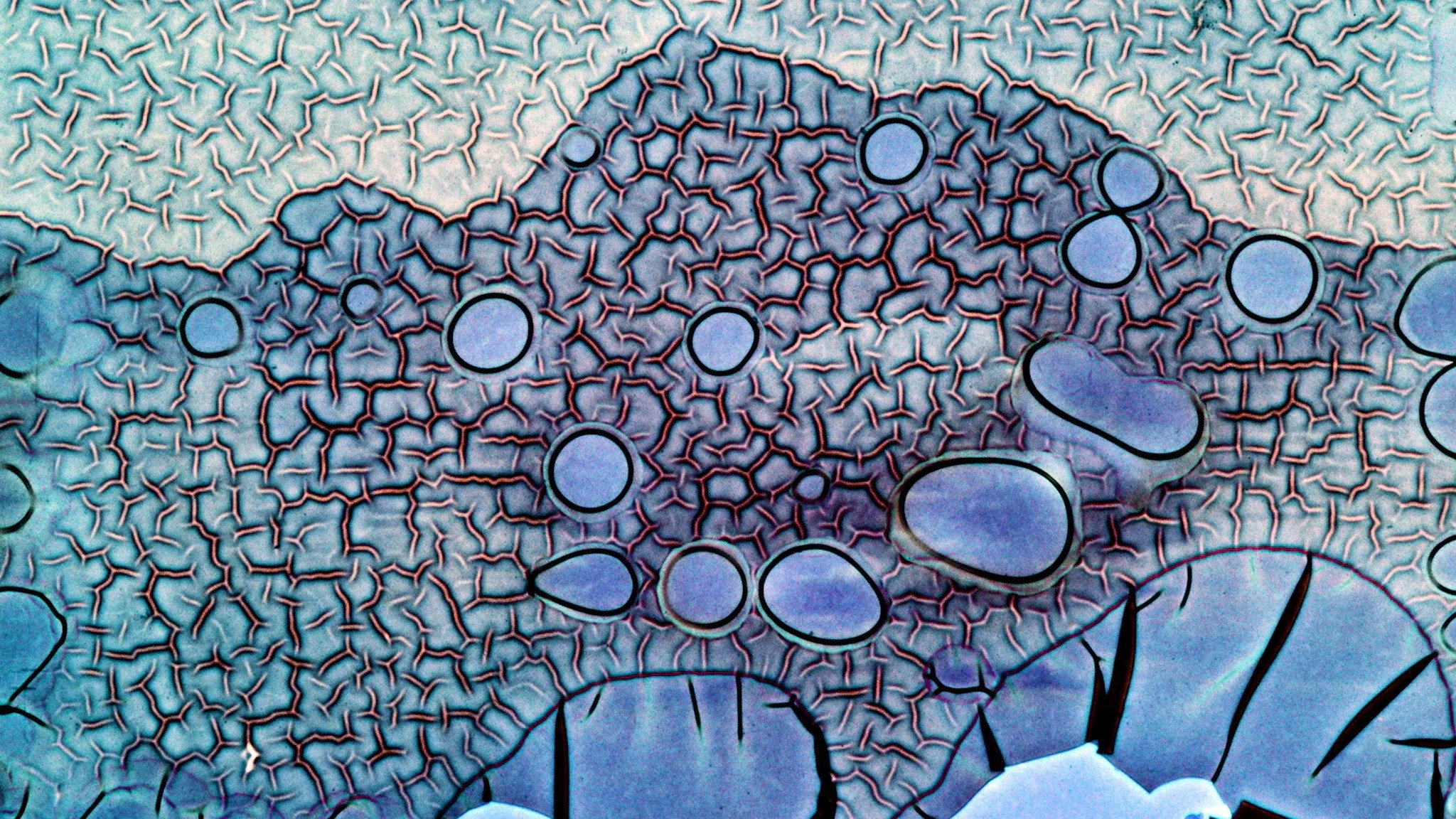 An Uncertain Eternity