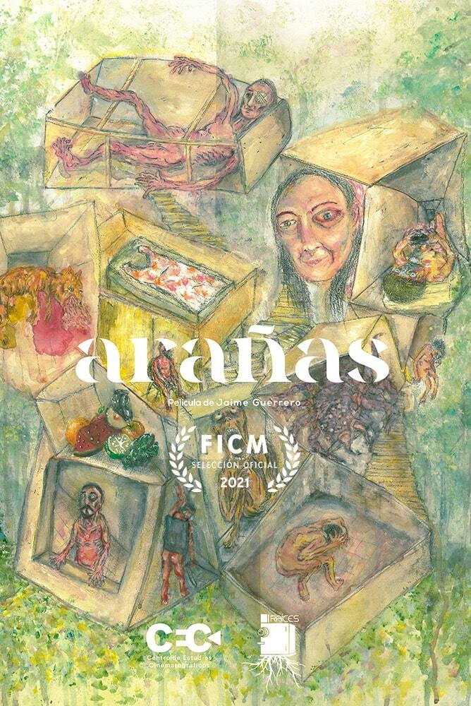 Ara&ntilde;as