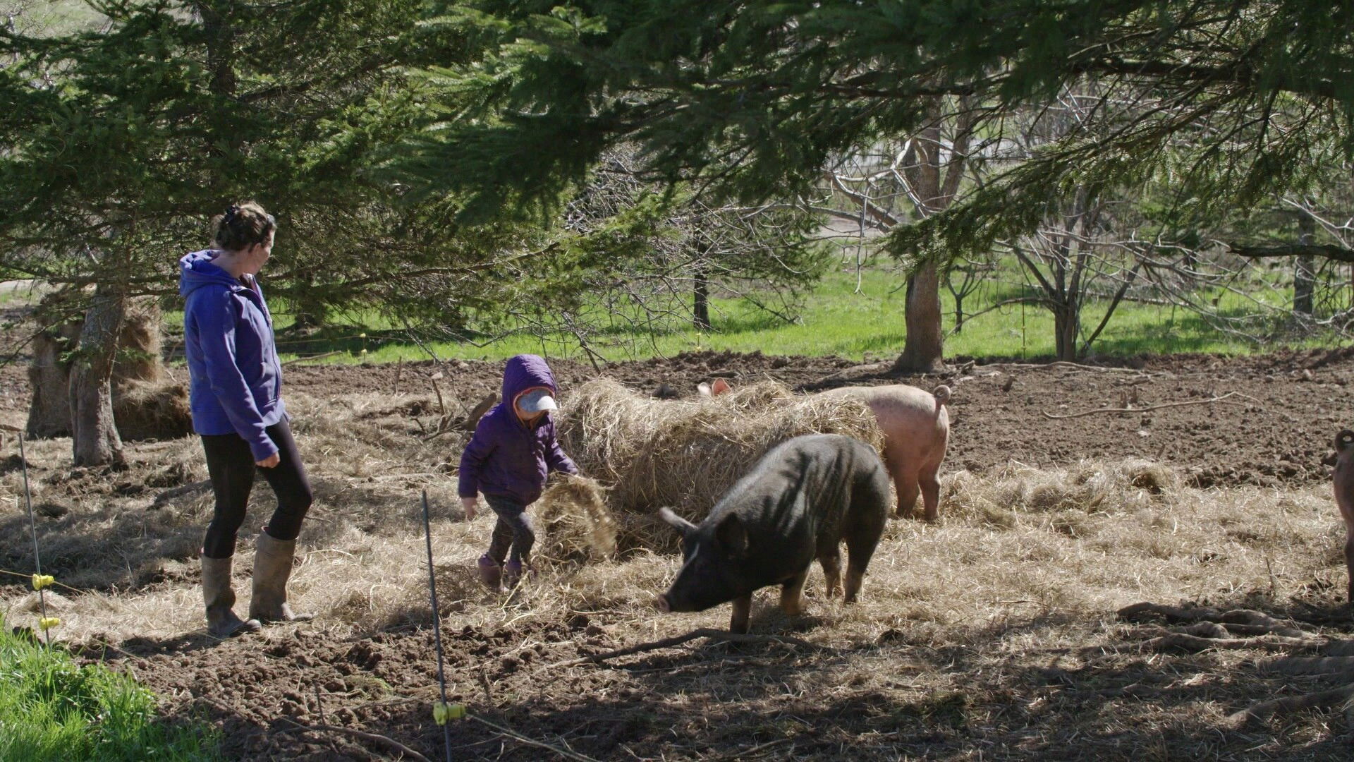Farm Crime S01E05 backdrop