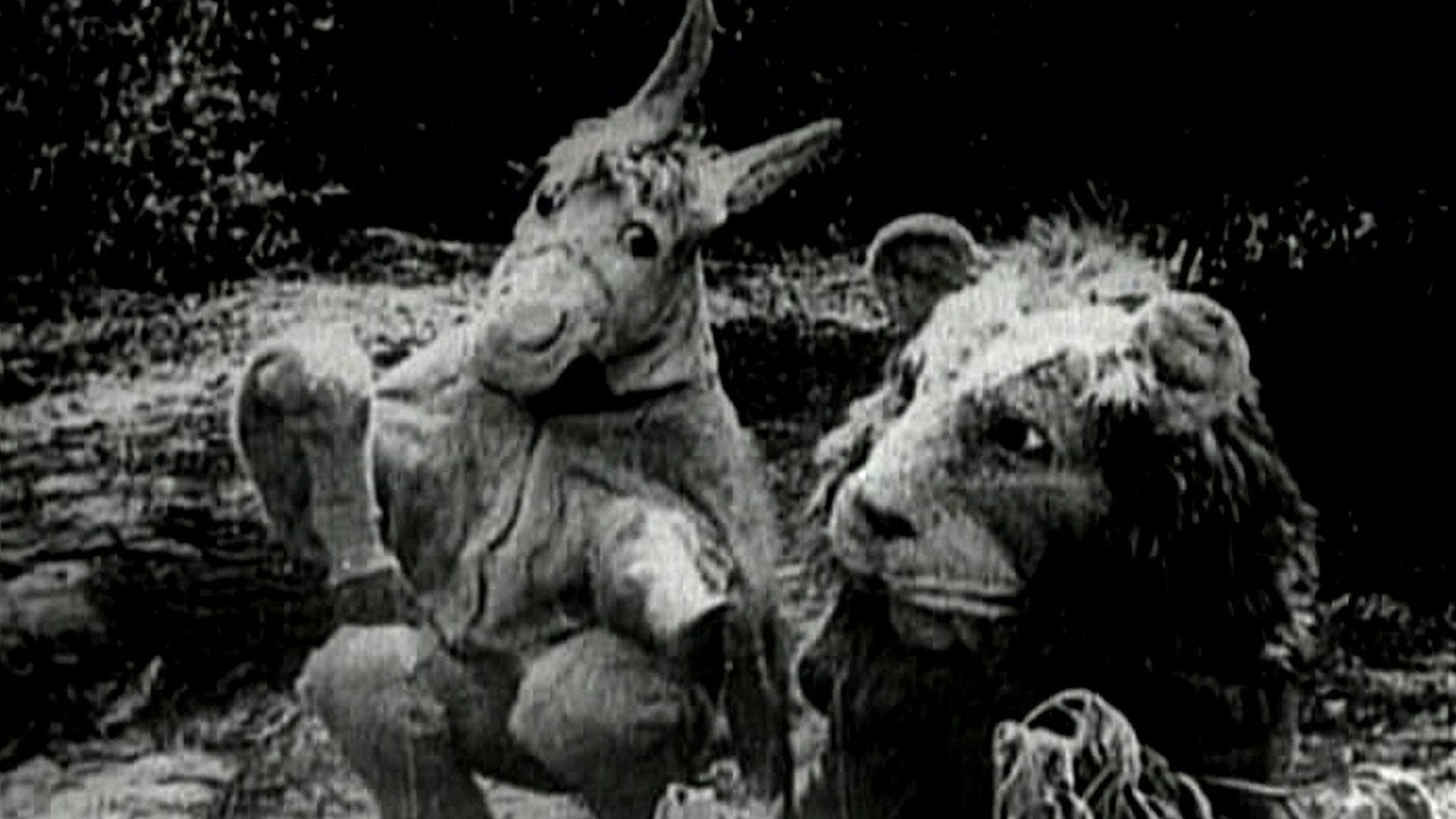 The Magic Cloak of Oz (1914)