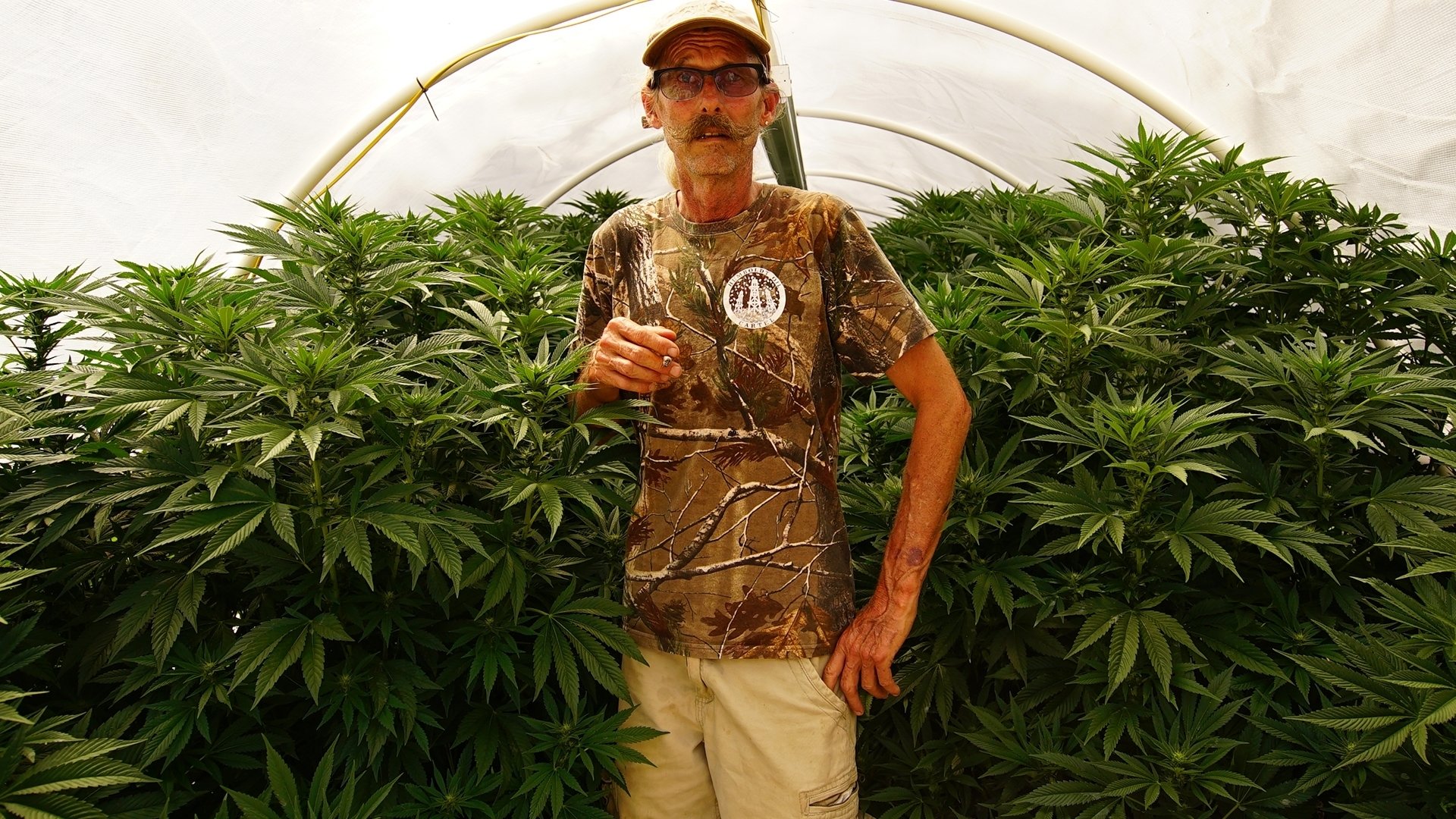 Weediquette