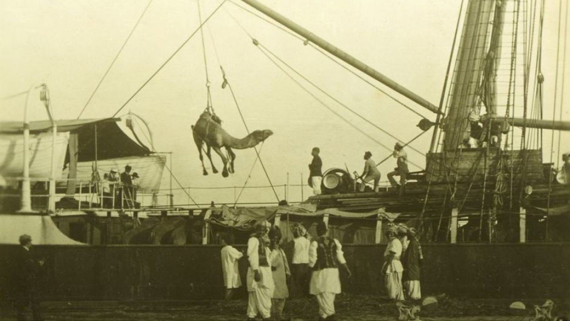 Afghan Cameleer in Australian from 1860-1920 (2013)