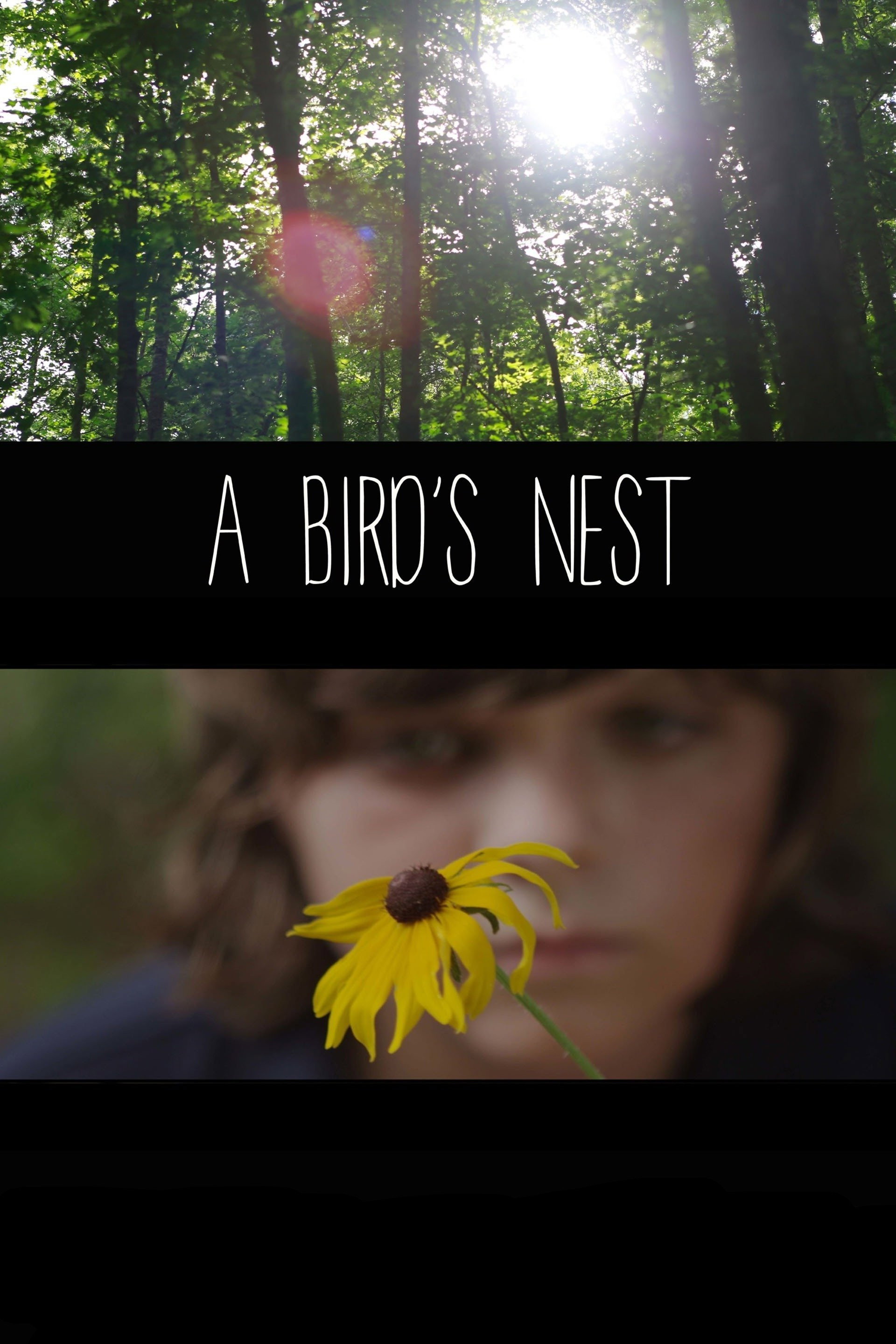 A Bird's Nest