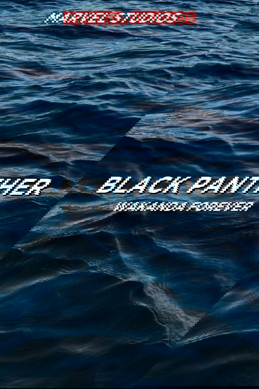 Black Panther: Wakanda Forever