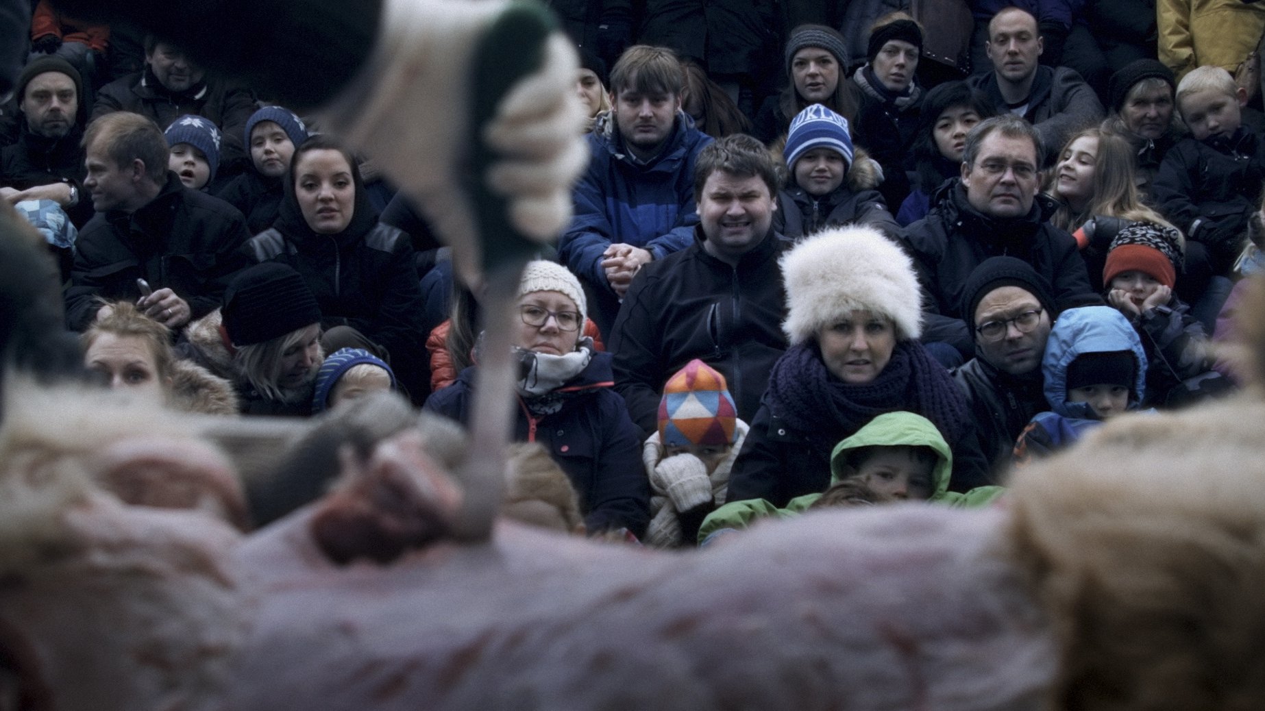 In a Lion (2018)