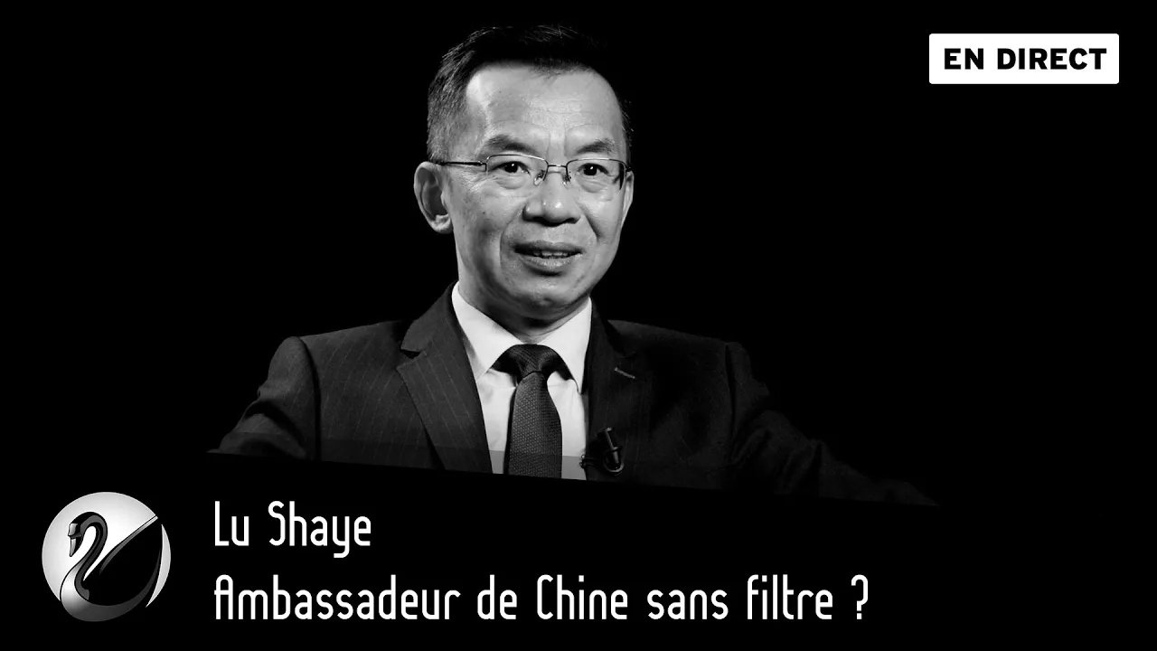 Thinkerview - Ambassadeur de Chine sans filtre ? Lu Shaye