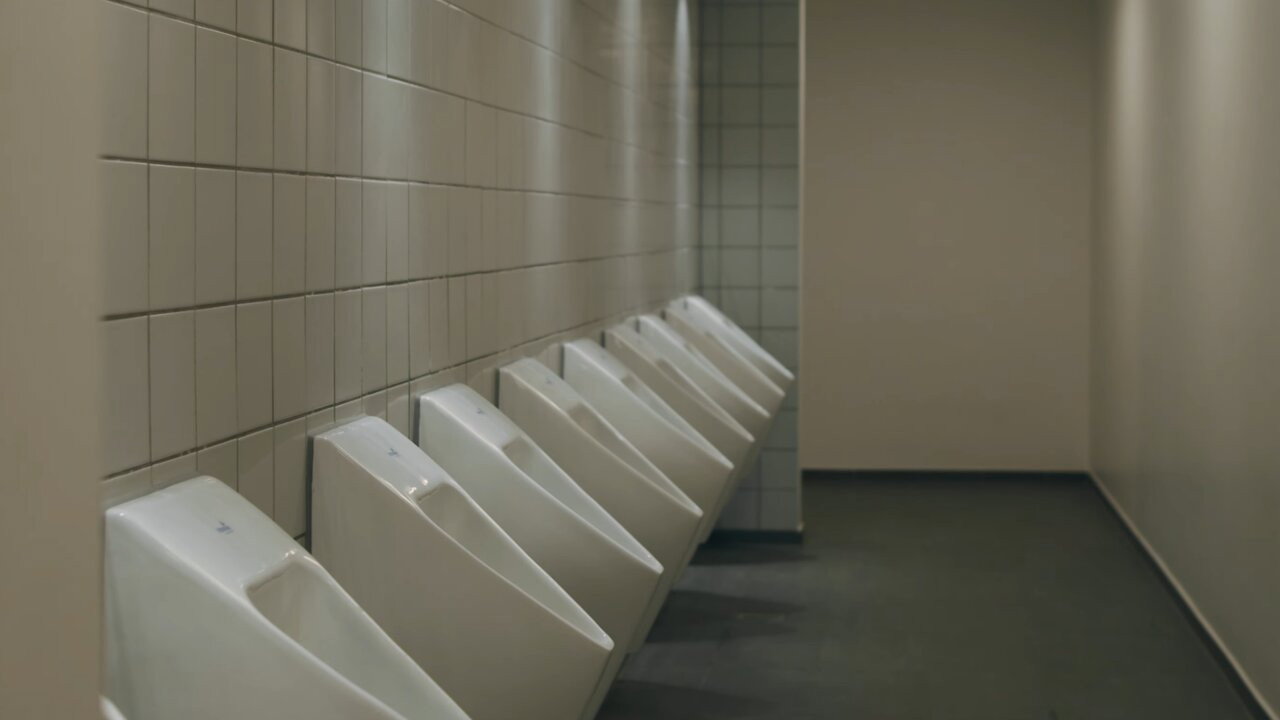 The Bathroom Visit