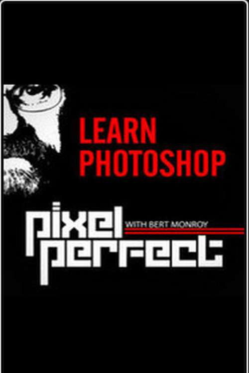 Pixel Perfect (2006)