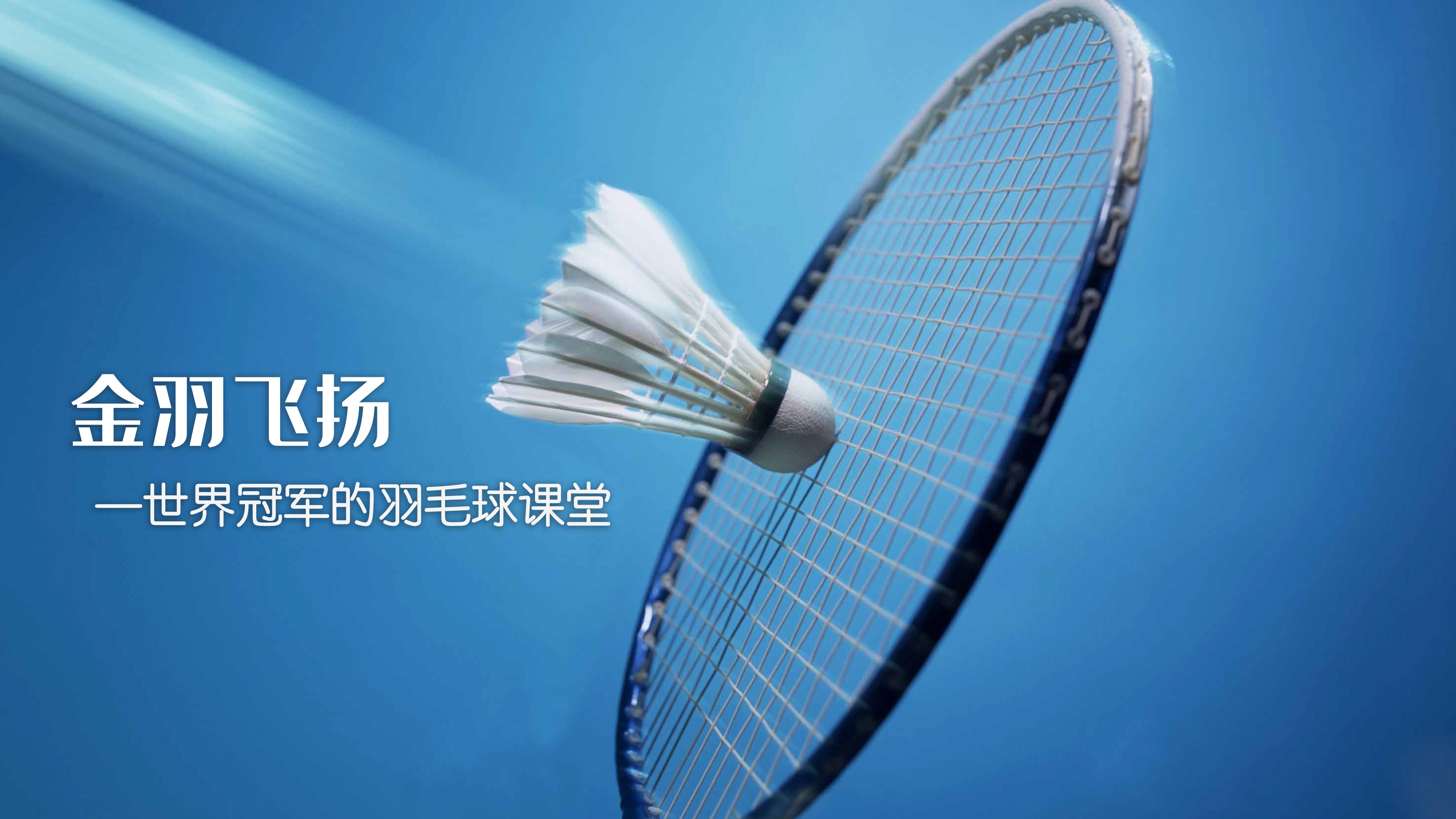 金羽飞扬 poster