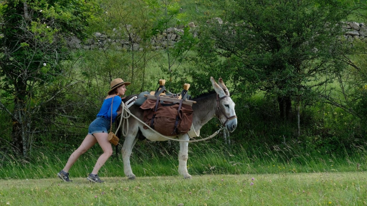 Antoinette dans les Cévennes (2020)