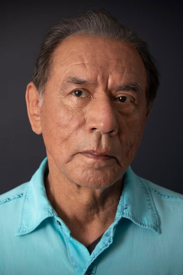 et billede af Wes Studi