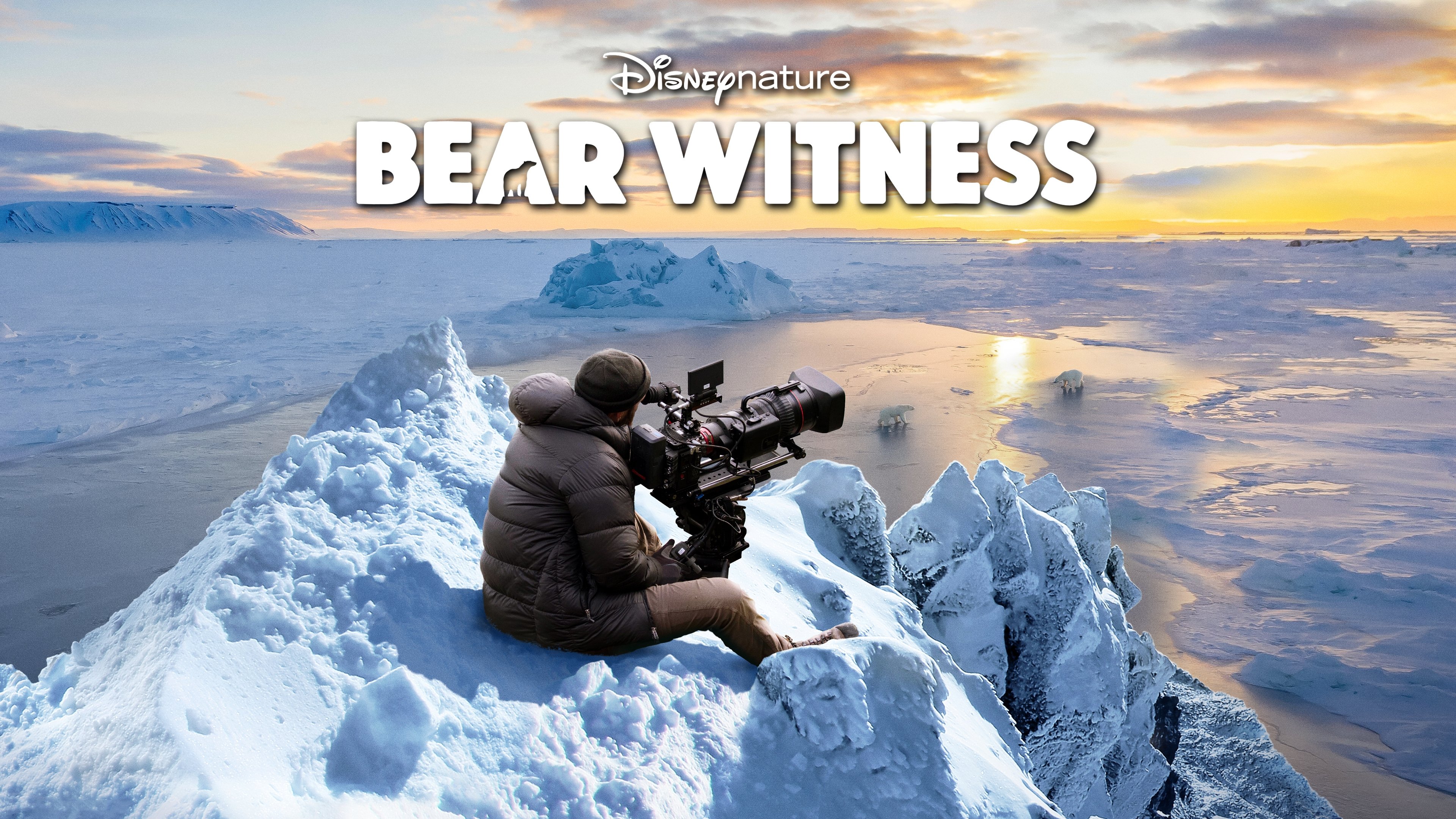 Bear Witness (2022)