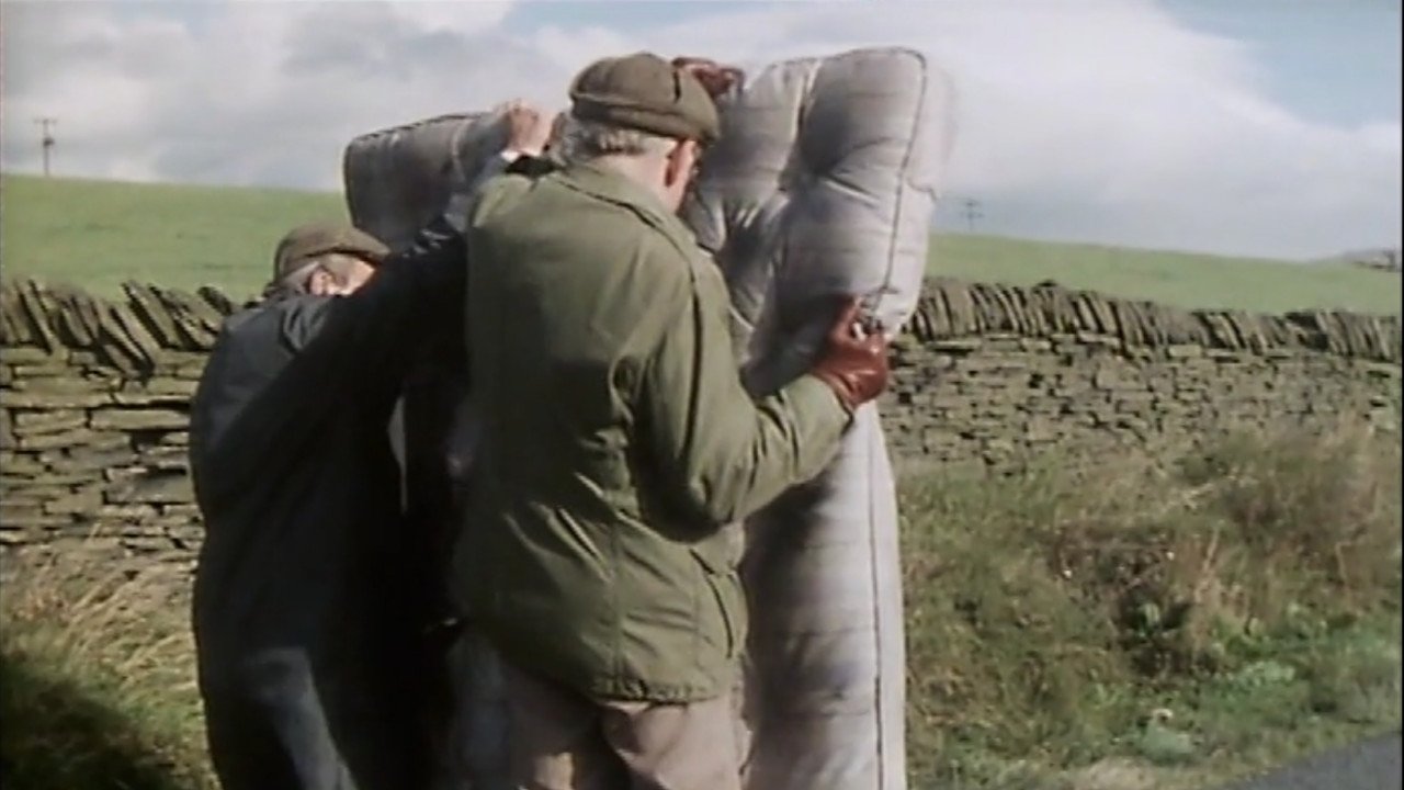 Last of the Summer Wine