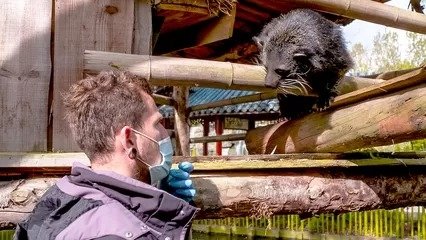 Expédition Pairi Daiza - Épisode 6