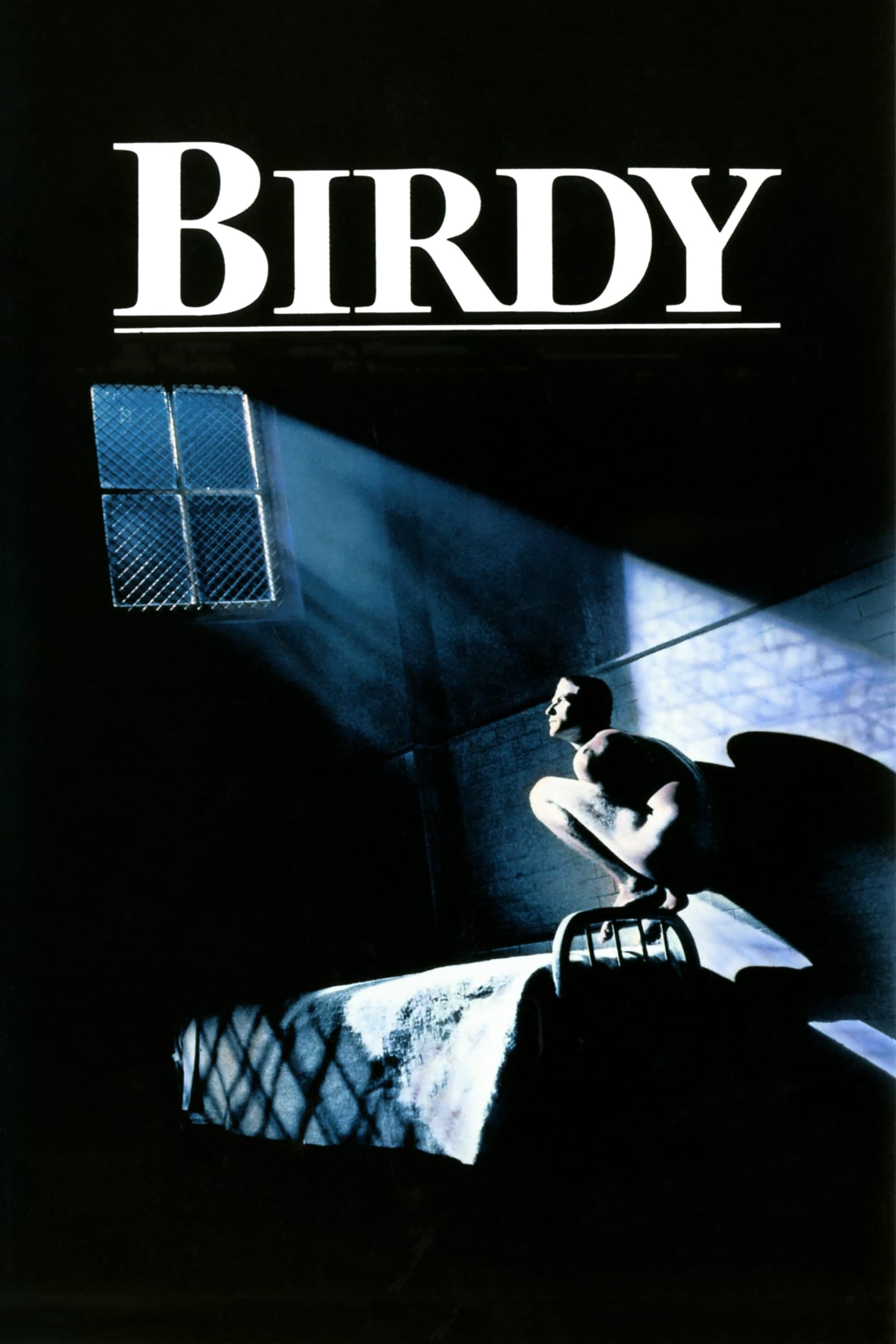 Birdy streaming