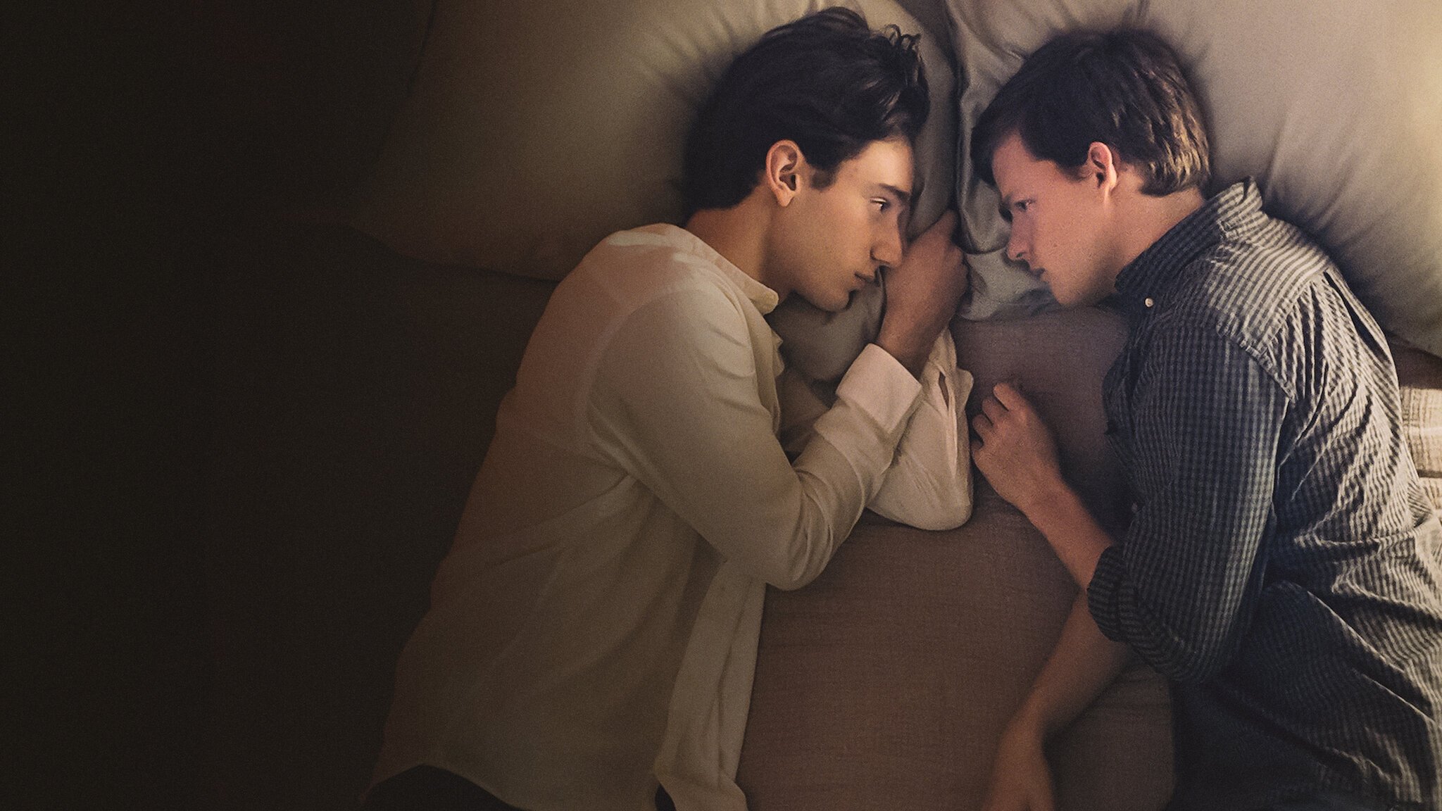 Boy Erased - Confesiunile unui băiat (2018)