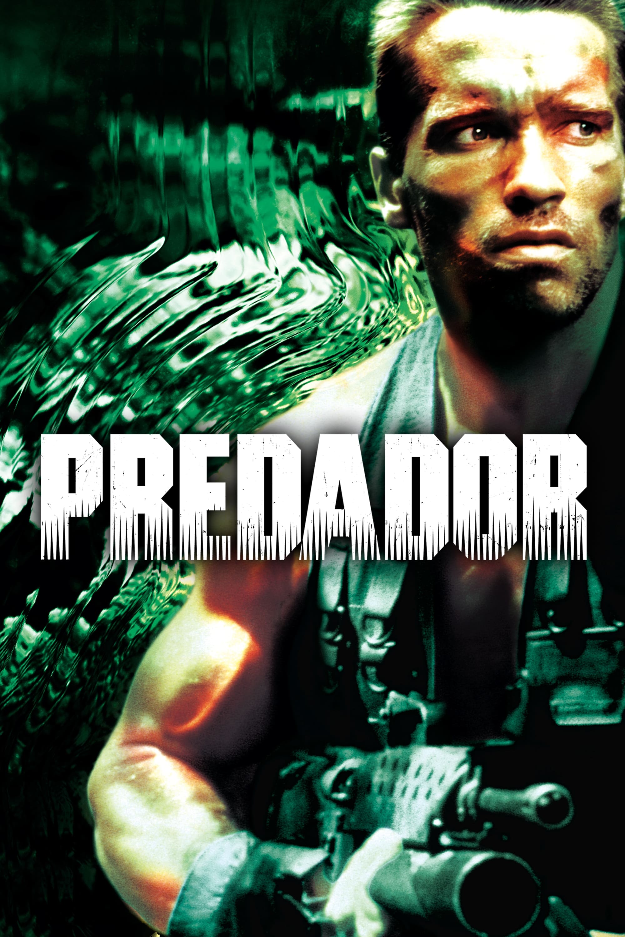 O Predador O Predador