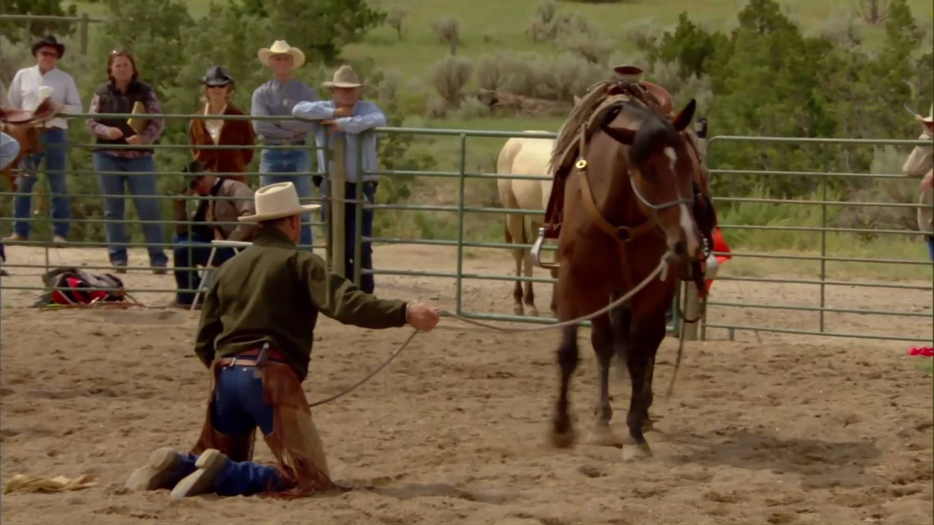 Buck. El hombre que susurró a los caballos