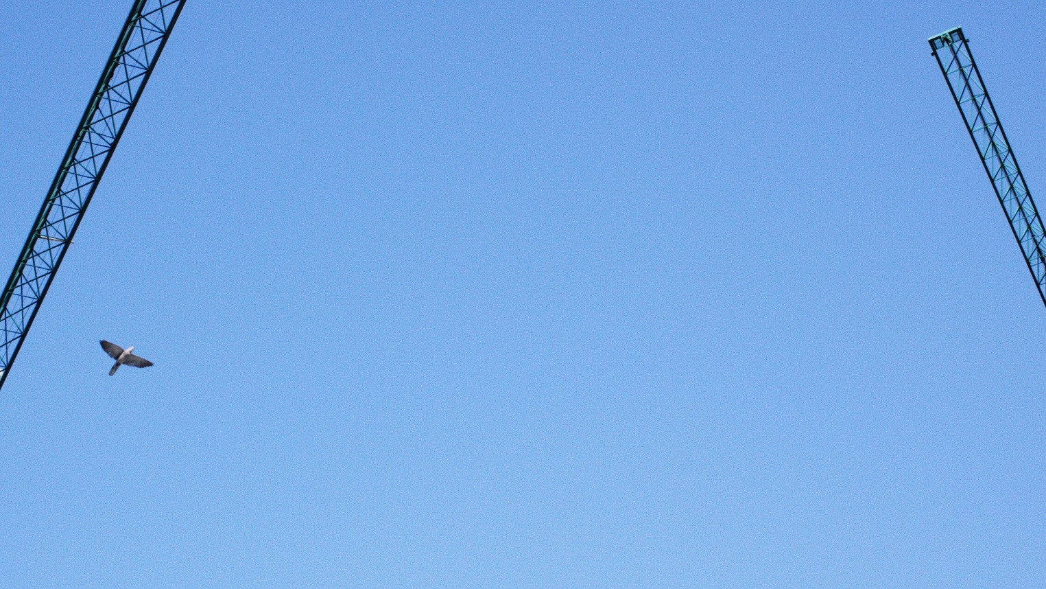 I Wish I Could Cry With Your Eyes