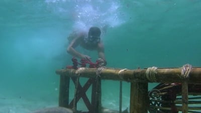 Survivor Staffel 27 :Folge 6 