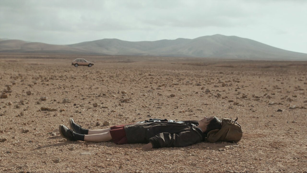 The wanderer (2021)