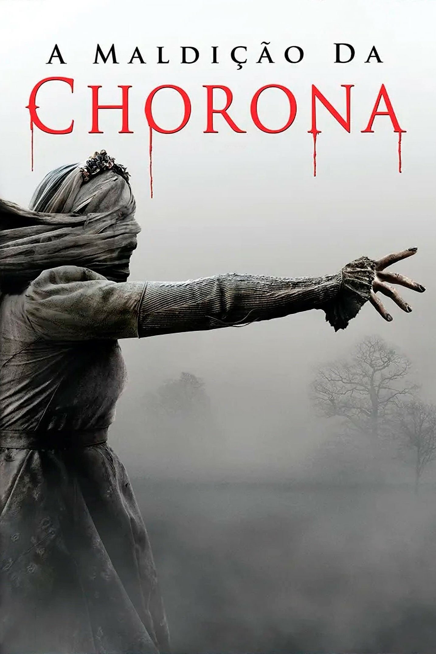 Capa do Filme 