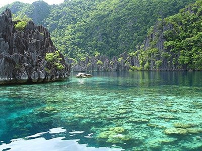 Wildest Islands