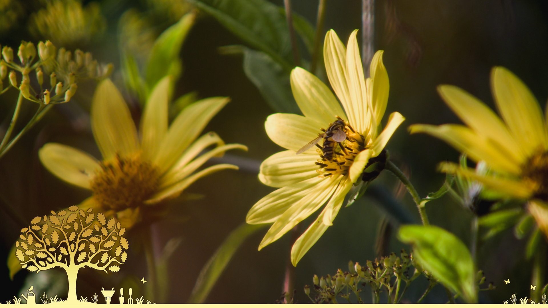 Gardeners' World 54x27