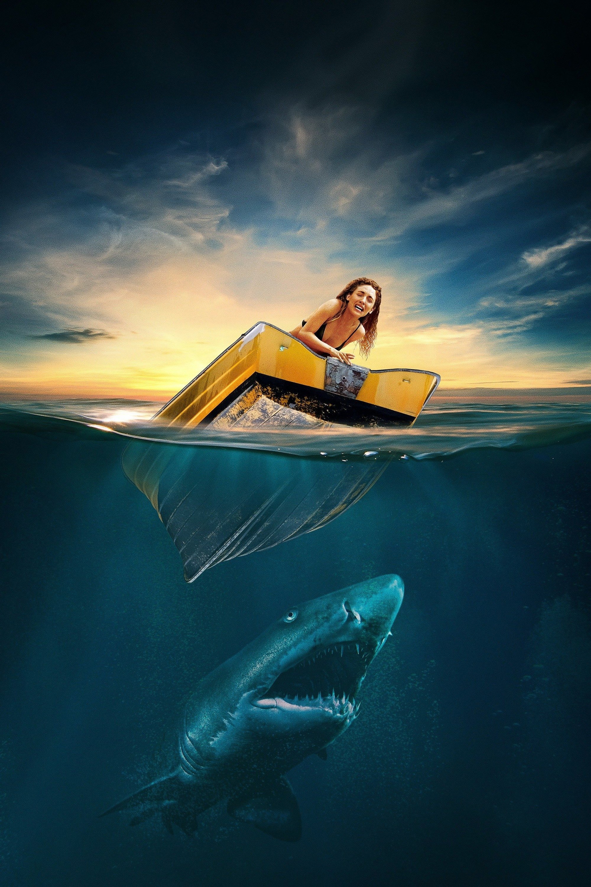 TMDB Image