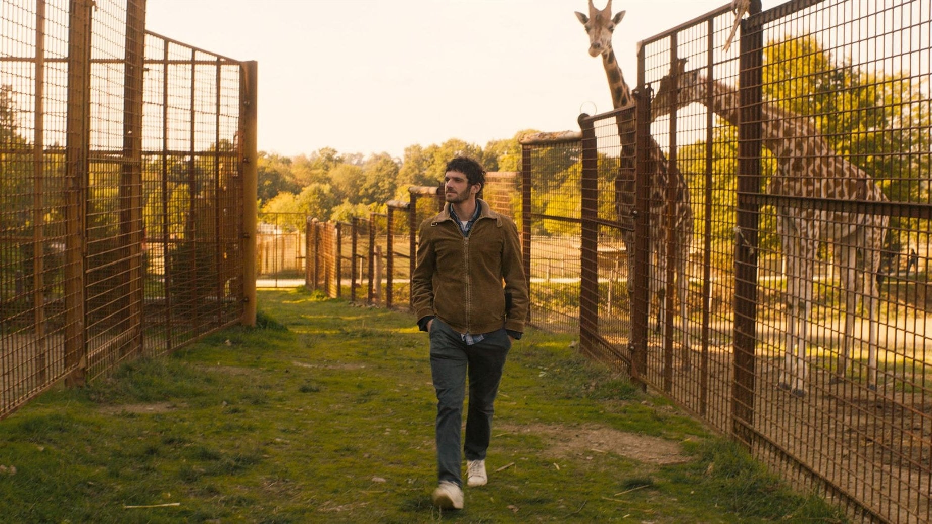 Image du film Gaspard va au mariage 2ejuacmslsvoxlo2tv4mvwfm5onjpg