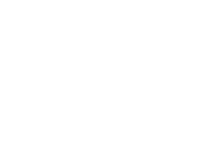 Our Lady of San Juan, Four Centuries of Miracles