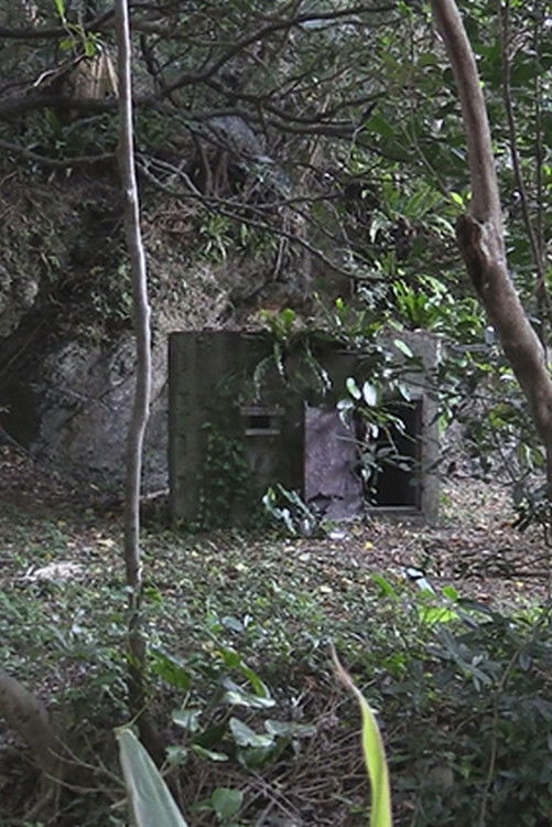 夜明け前のうた 消された沖縄の障害者