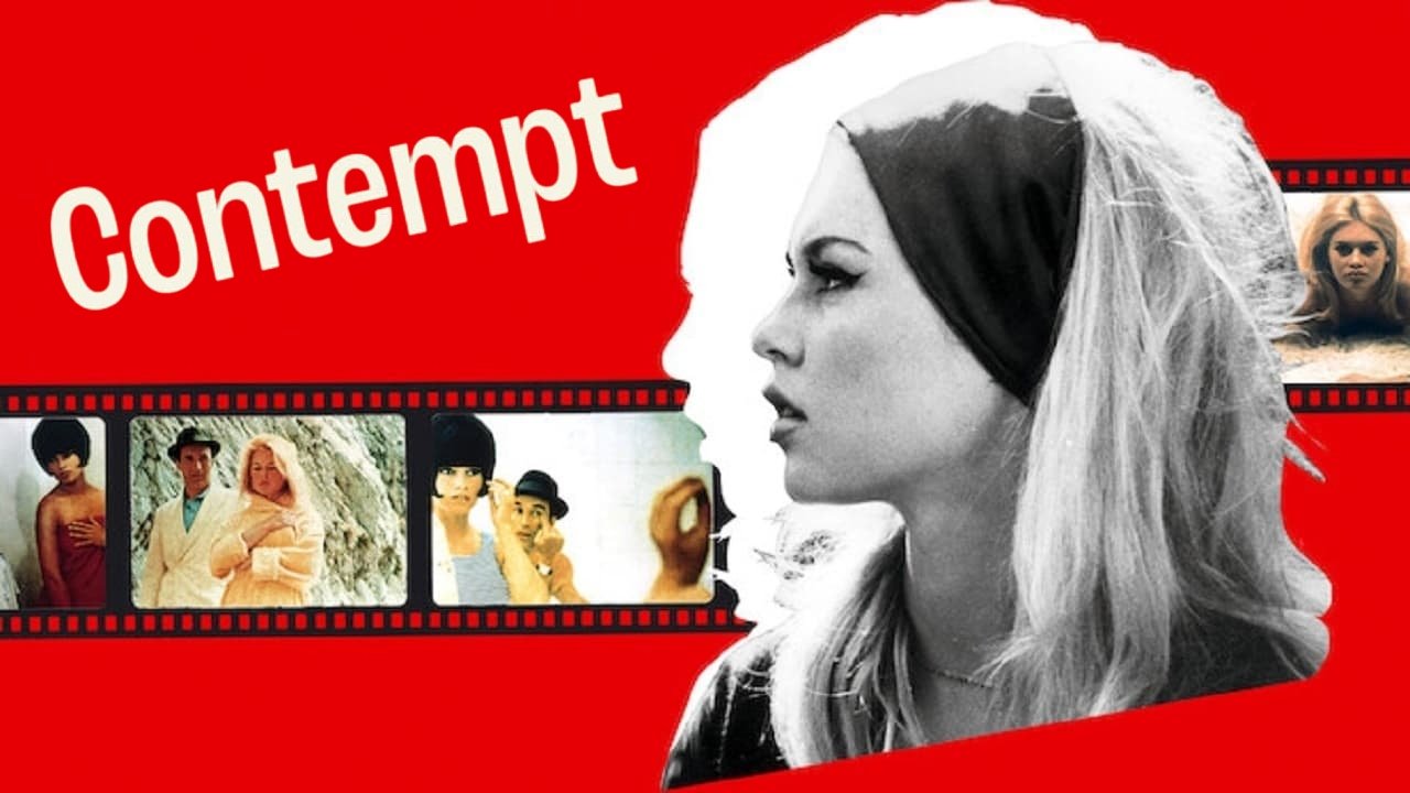 Contempt