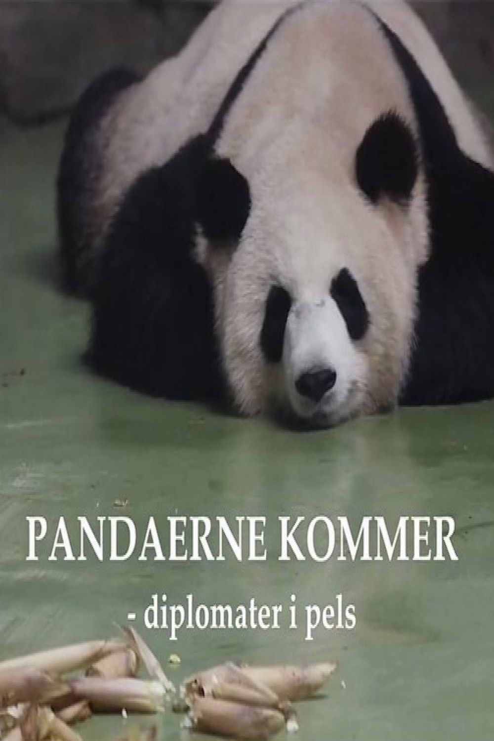 Pandaerne kommer - Diplomater i pels (2019)