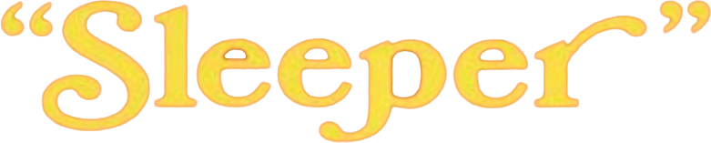 Sleeper Logo