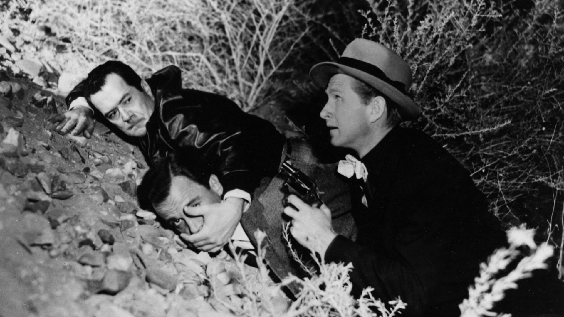 The Sound of Fury (1950)