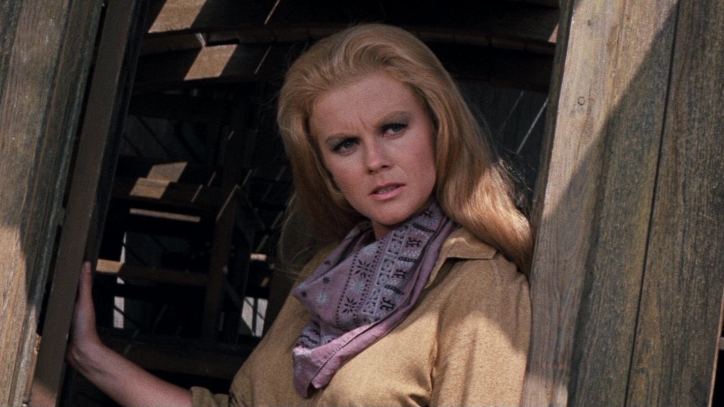 Ladrones de trenes (1973)