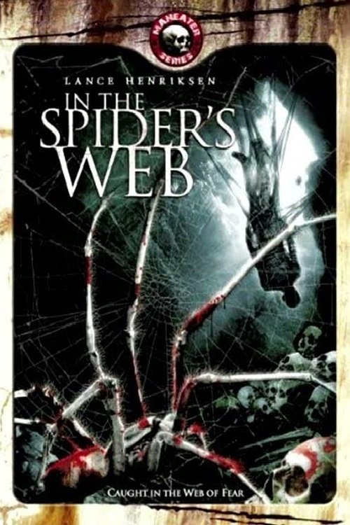 In the Spider's Web